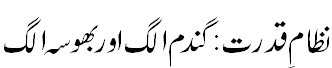 نظام قدرت: بھوسہ الگ گندم الگ - Waste is separated by creater