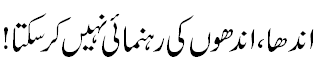 اندھا اندھوں کی رہنمایی نہیں کر سکتا - Bling can not lead blinds towards destination. Sheik Nazim elaborated the need of a guide.