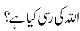 اللہ کی رسی کیا ہے؟ - Hold the rope of Allah